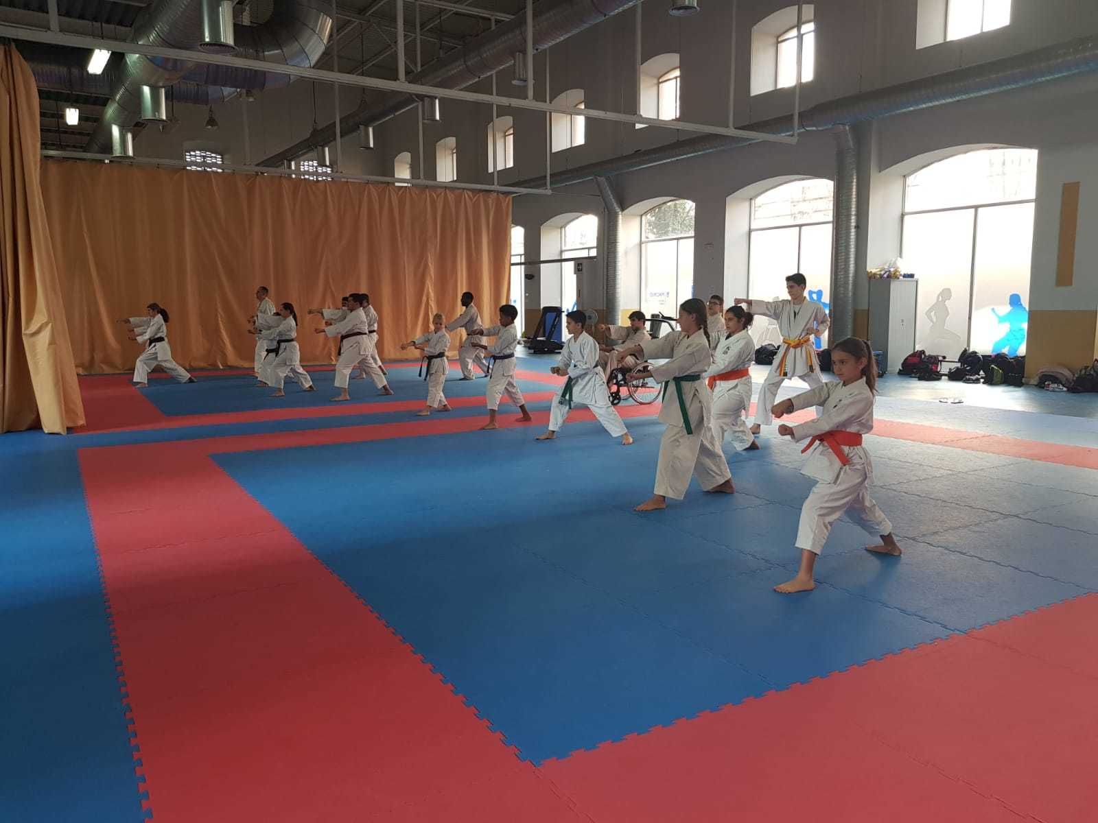 Entrenamiento de Karate