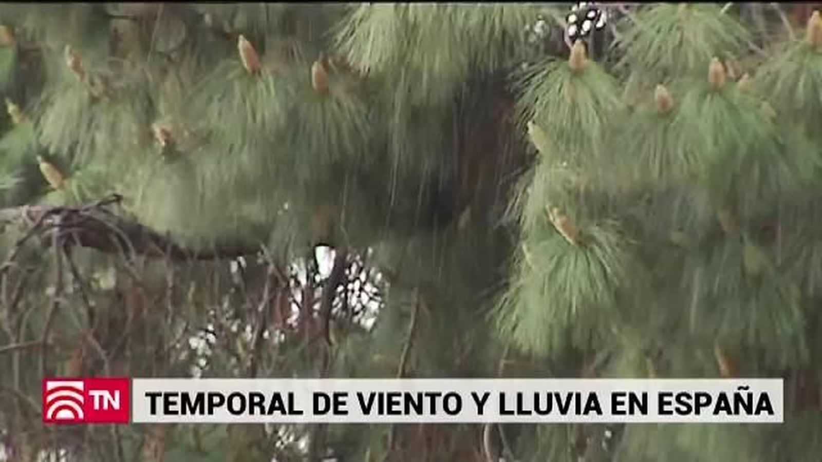 El Tiempo 06.03.2019