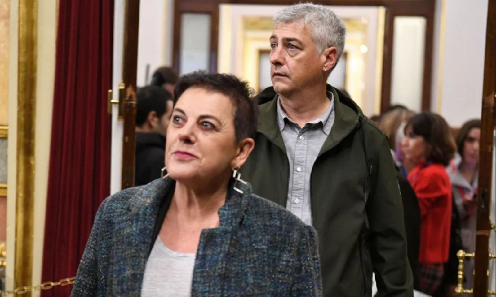 Diputados de Bildu