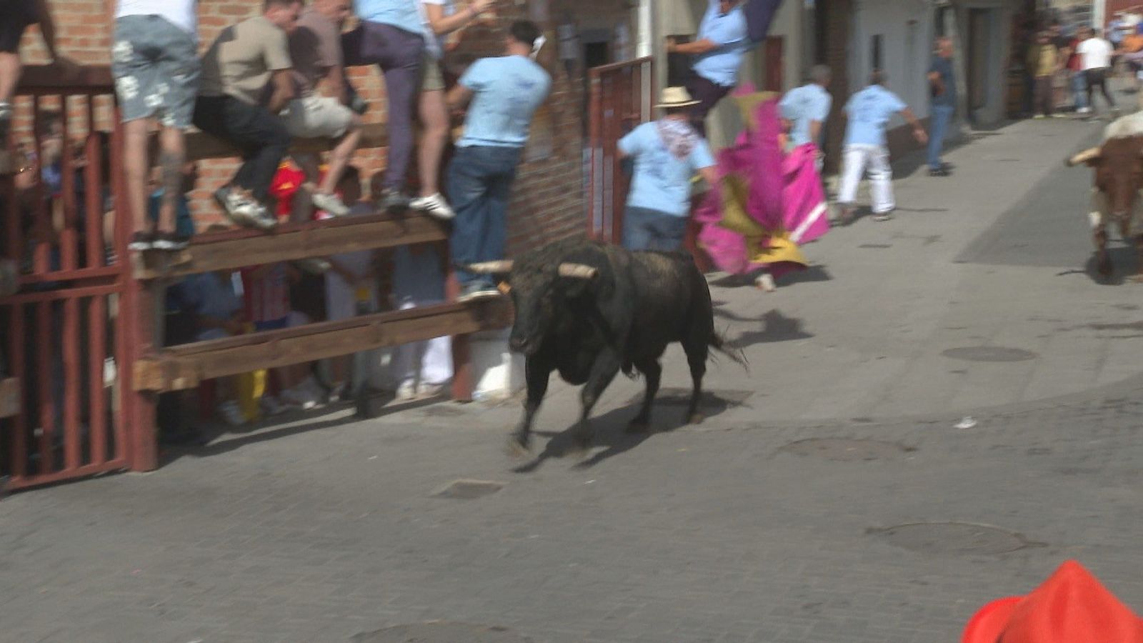 Encierros para niños y adultos en las fiestas de Humanes
