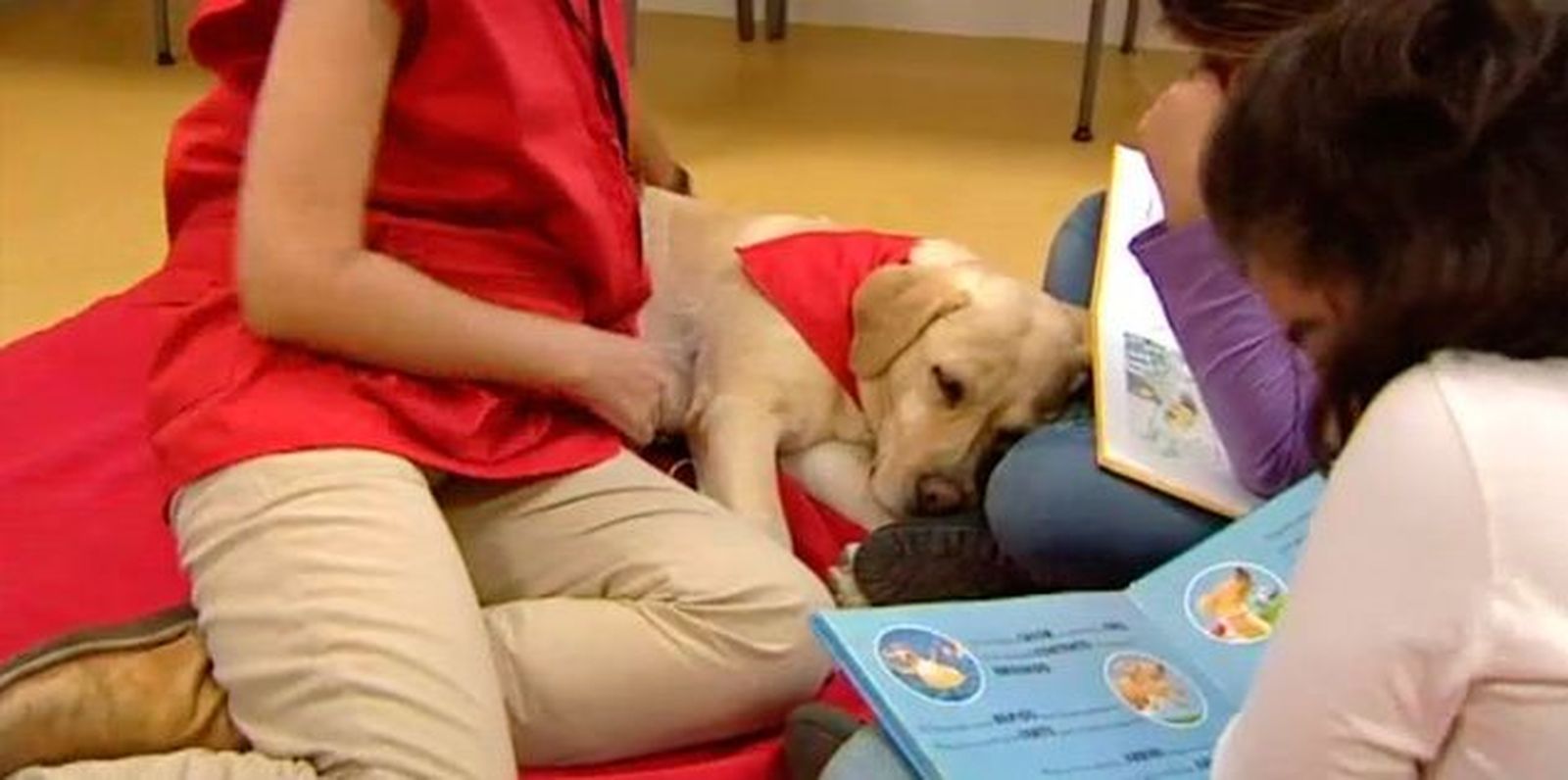 Taller de lectura... ¡para perros!