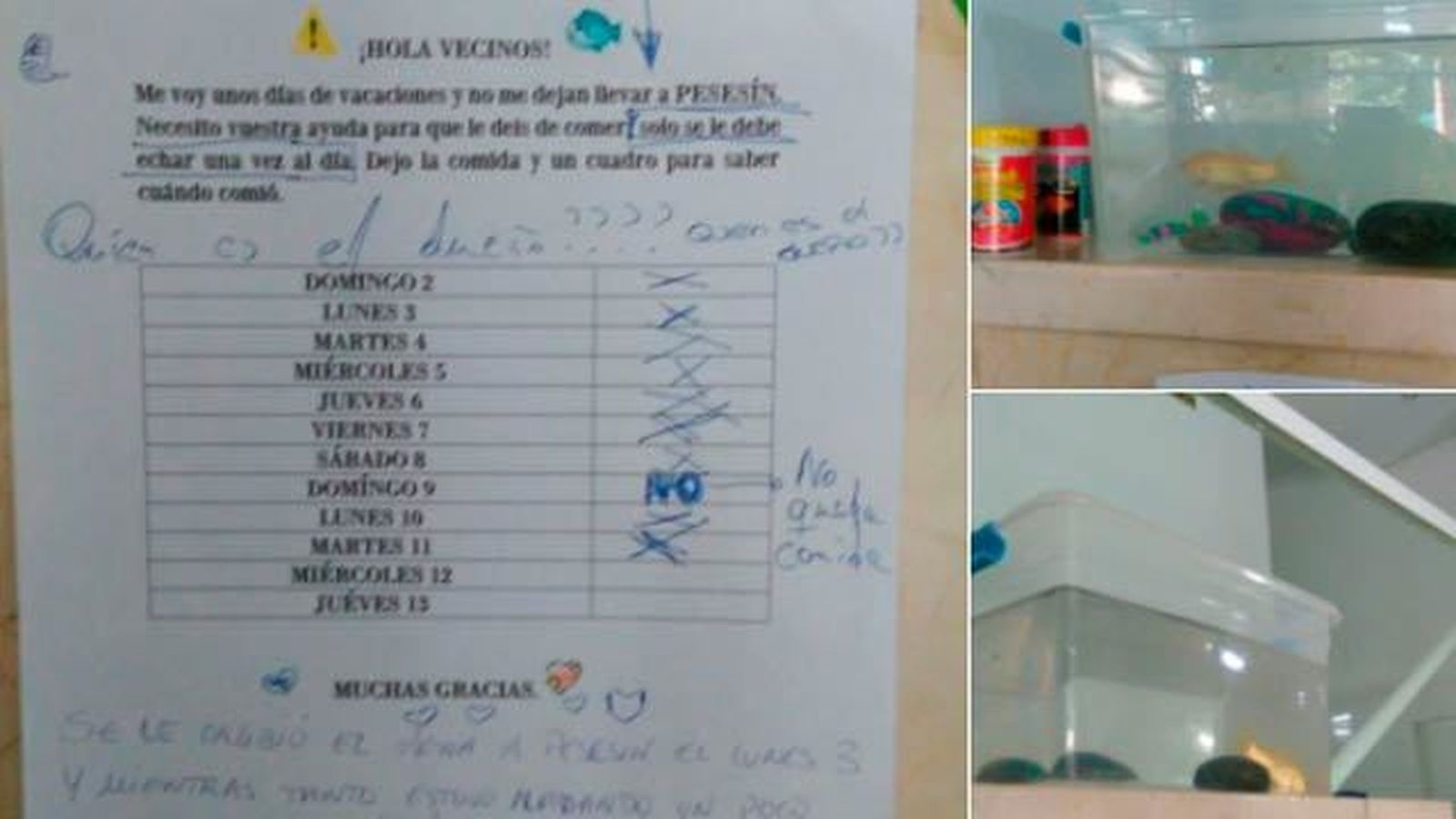 Imágenes del ya mítico Pesesín