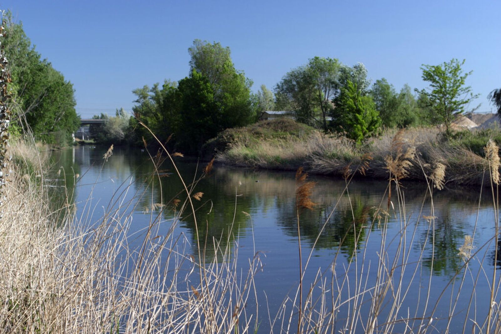 El Río Jarama a su paso por Coslada