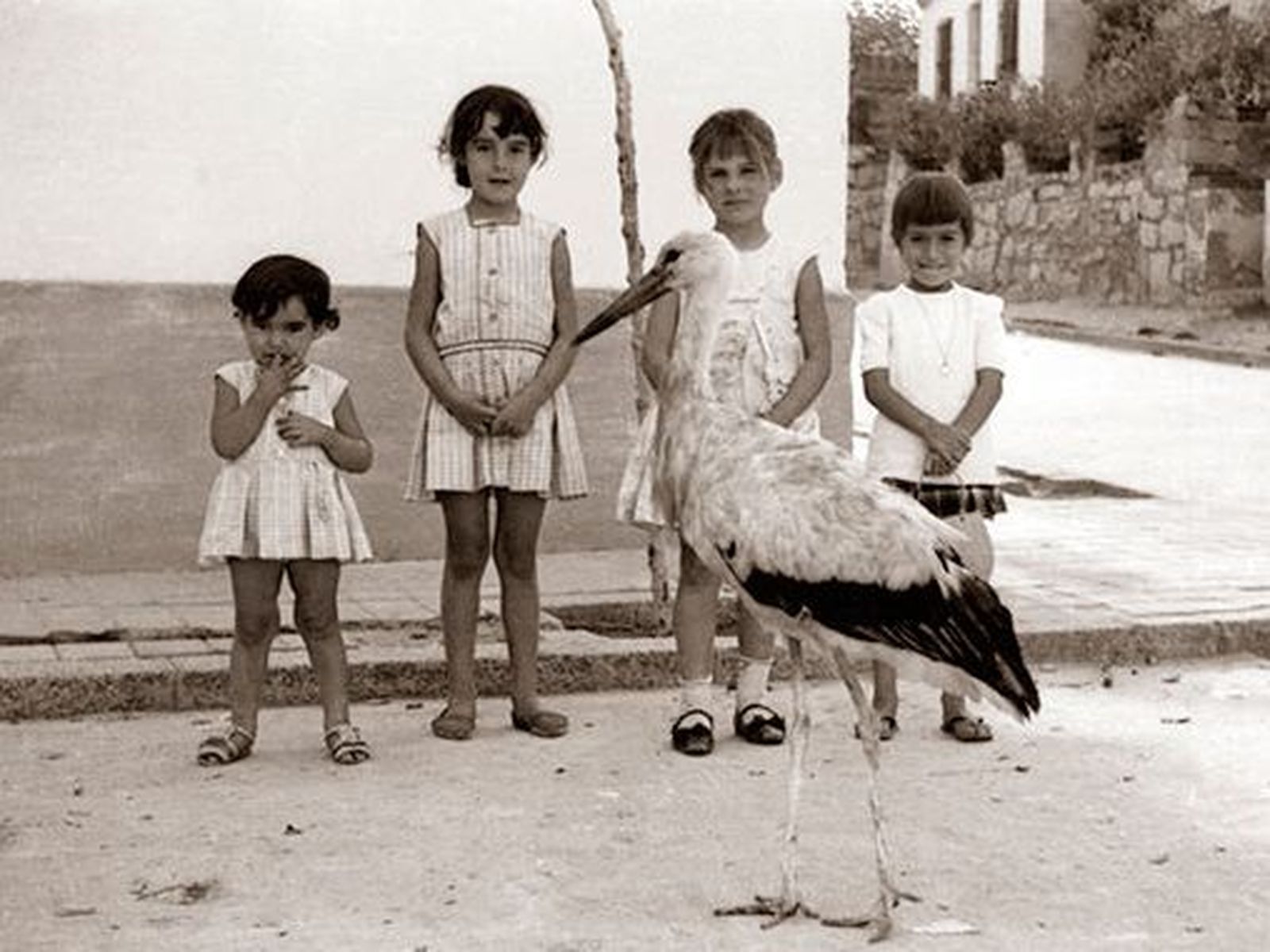 La cigüeña Maria con un grupo de niños de Las Rozas