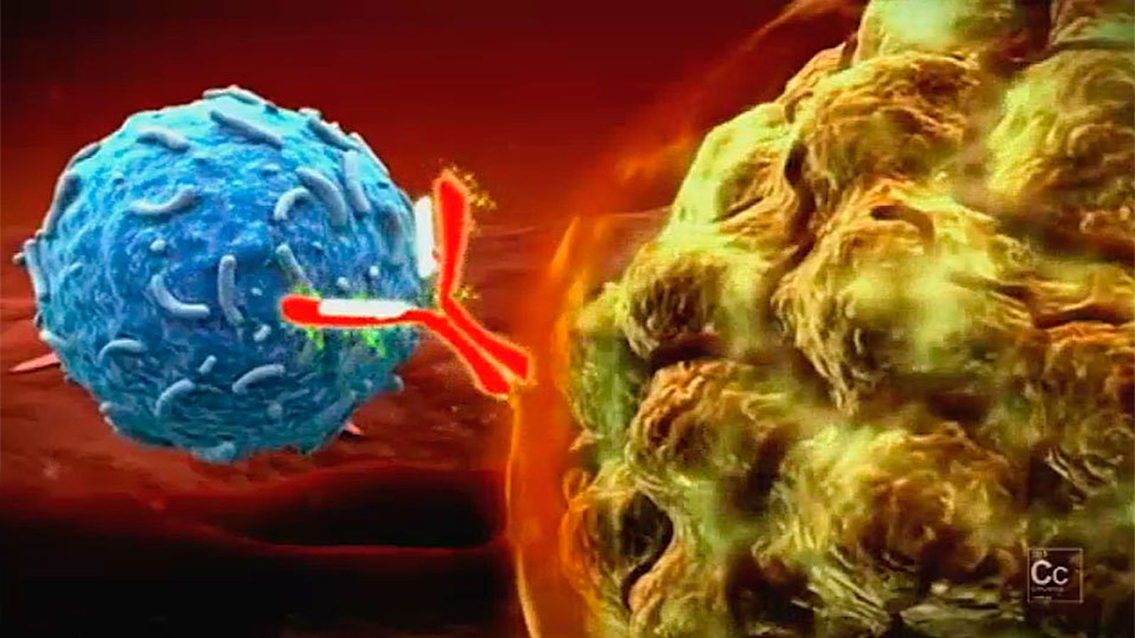 Derrotar al cáncer en Conciencia
