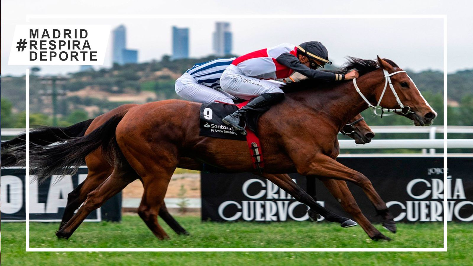 Carreras en el Hipódromo de La Zarzuela