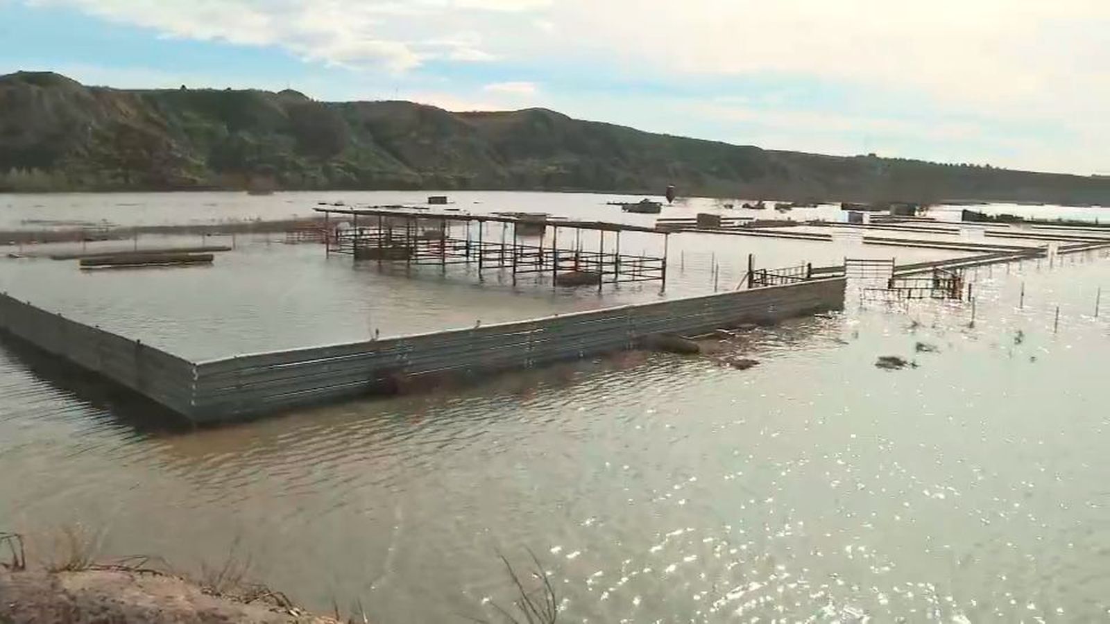 Las lluvias y las crecidas de ríos anegan campos de cultivo y ganaderías madrileñas