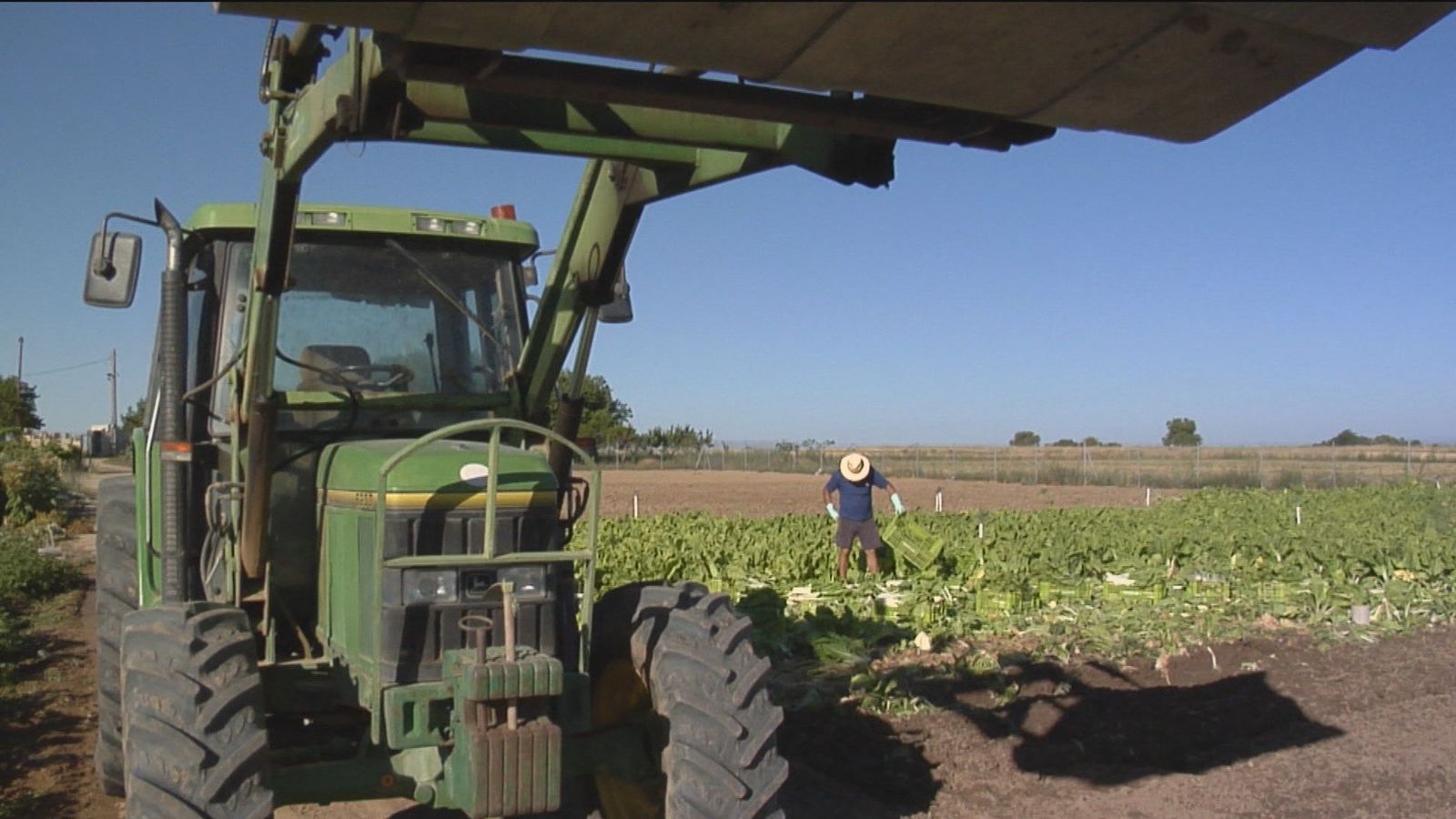 El sector agrario español convoca movilizaciones en todo el país por la crisis en el campo