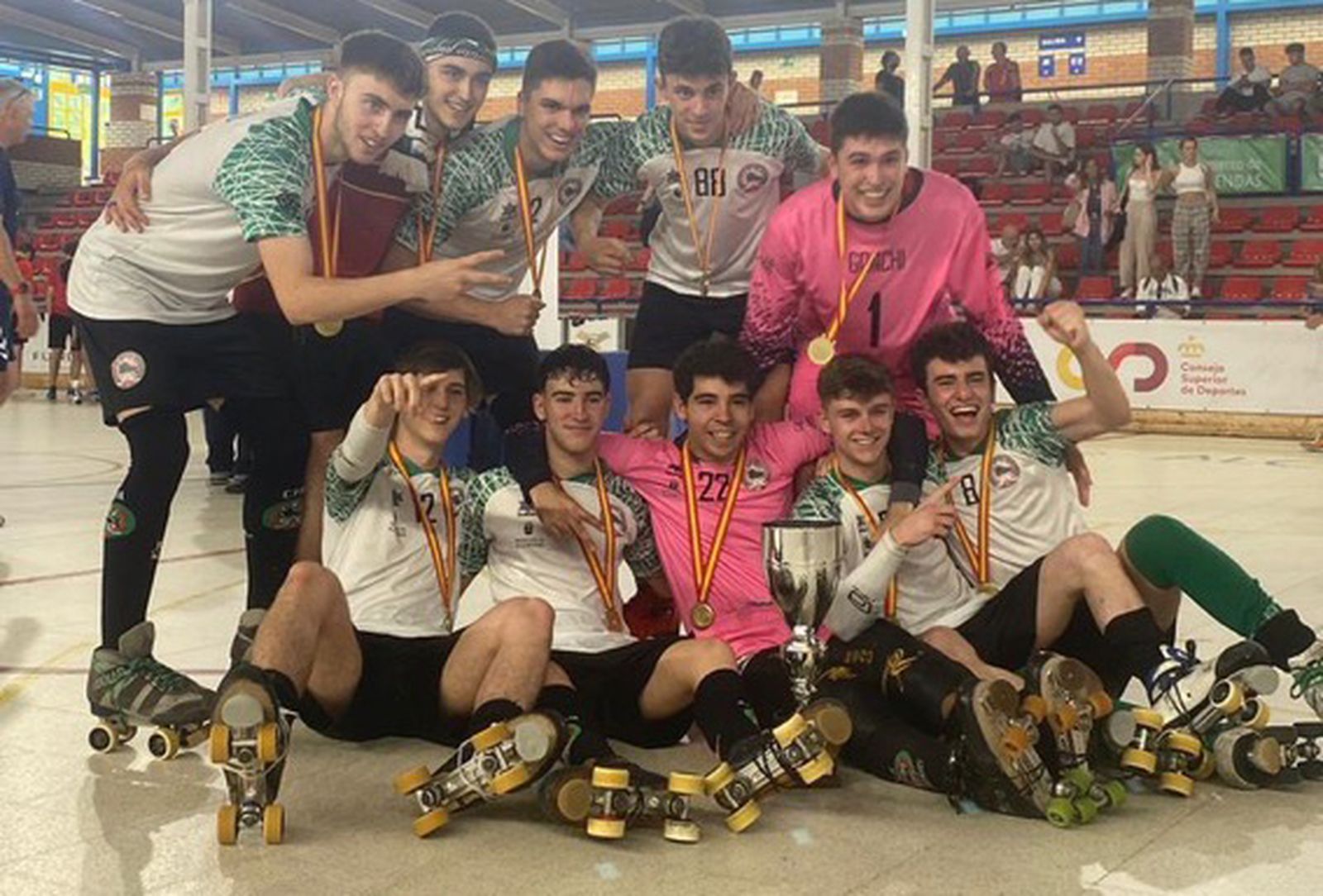 Alcobendas hockey patines