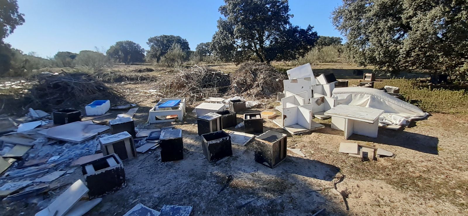 Vertido de podas, enseres y restos de obras en un encinar