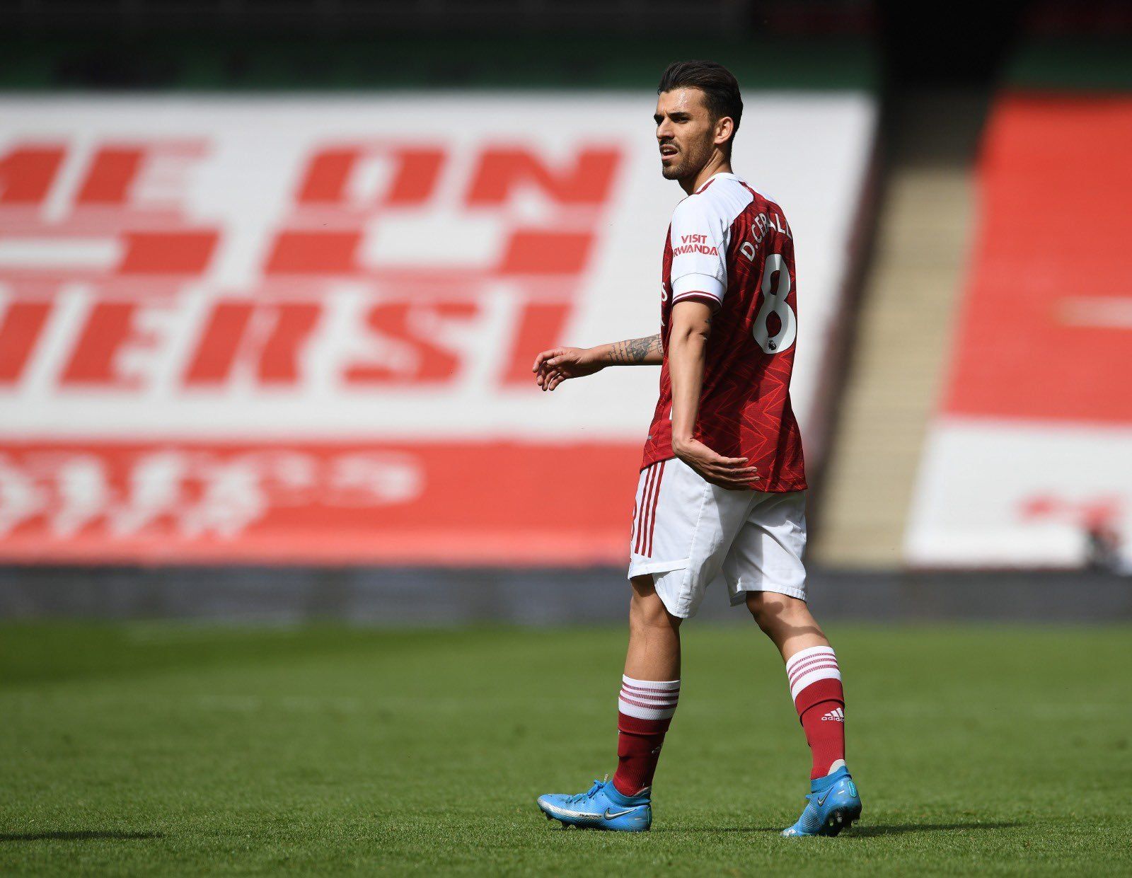 Dani Ceballos