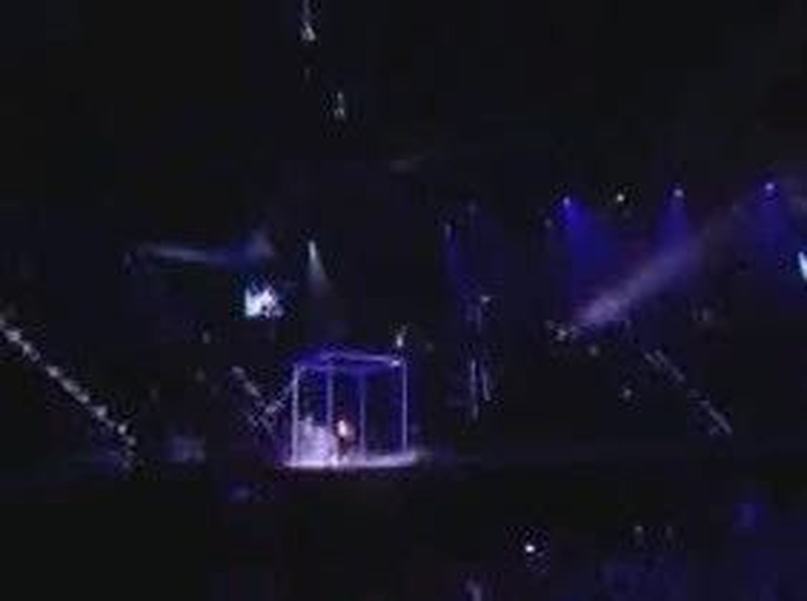 36mtv_2010118V0.wmv