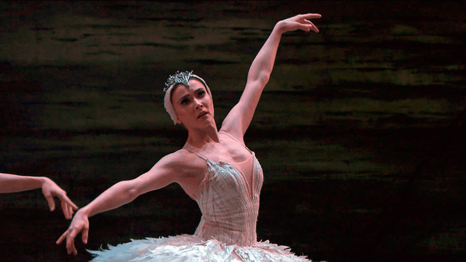 El Royal Ballet regresa a Madrid veinte años después con "El Lago de los cisnes"