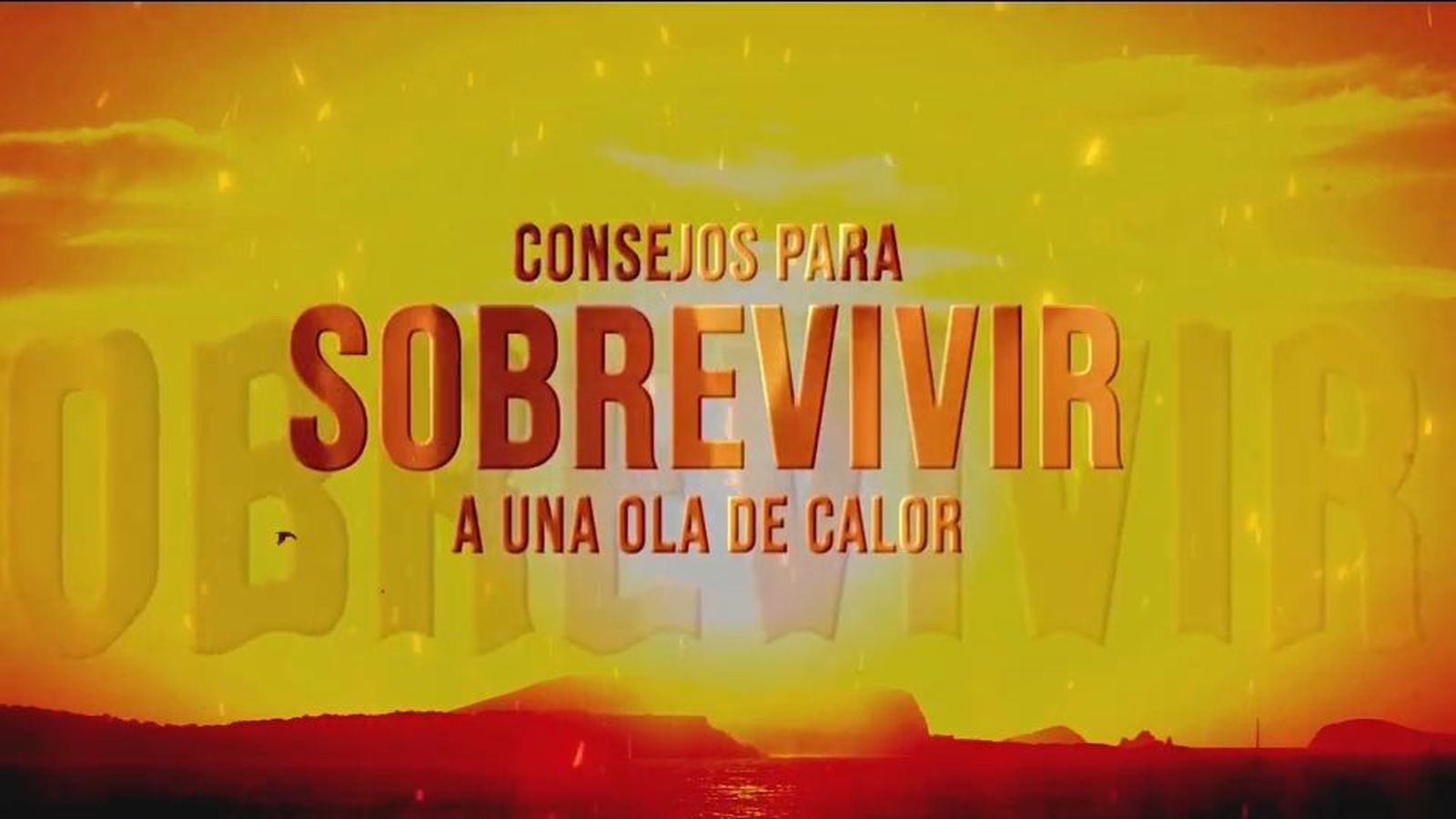 Consejos para sobrevivir a una ola de calor