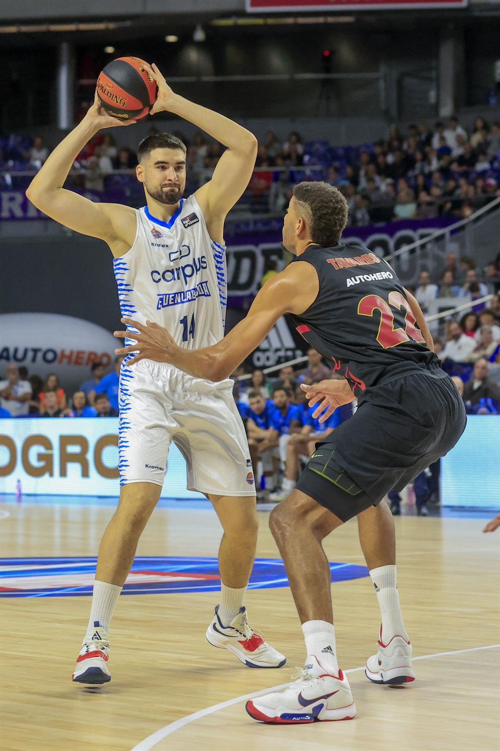 El pívot del Carplus Fuenlabrada Dusan Ristic trata de superar al pívot del Real Madrid Tavares