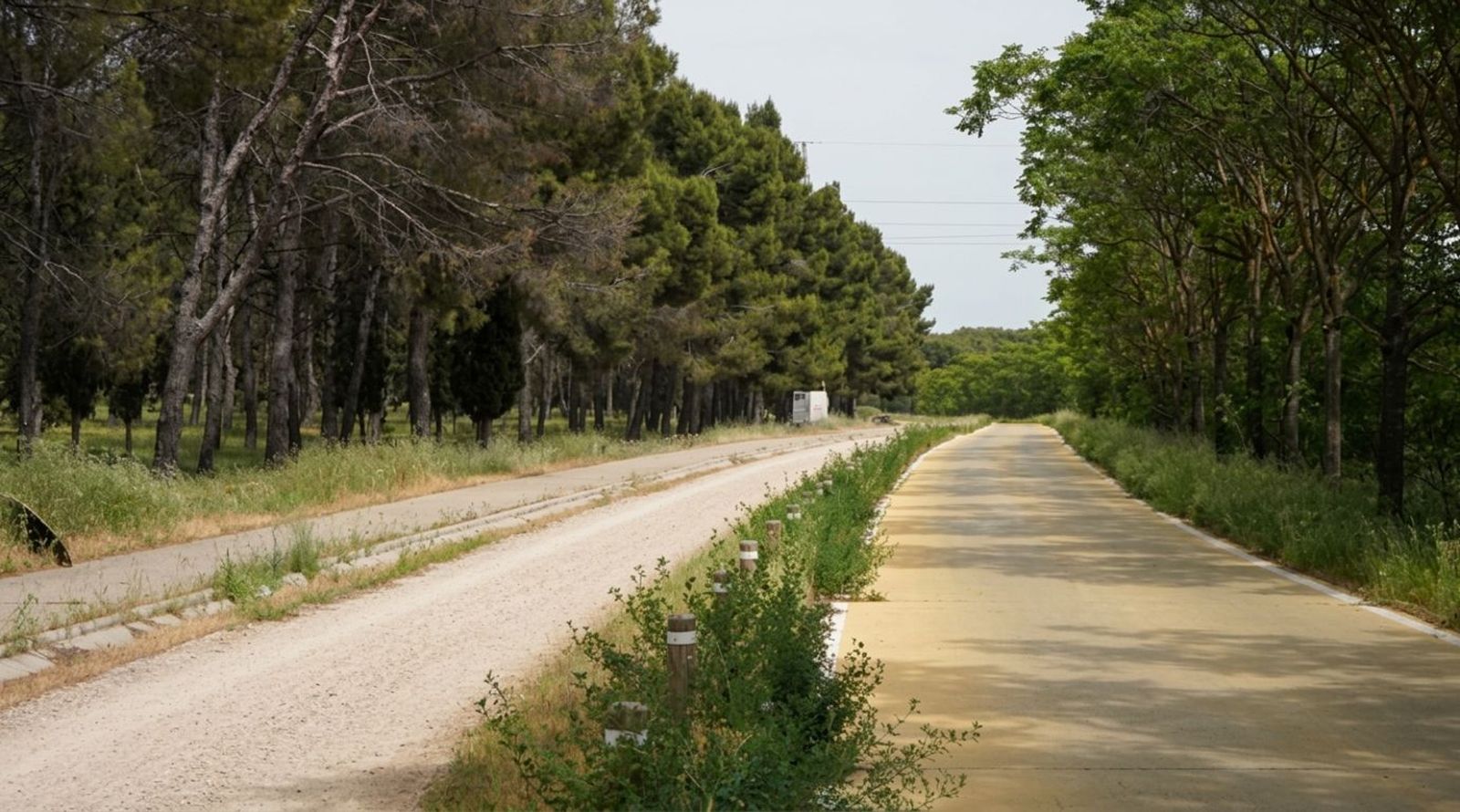 Vía pecuaria de Perales del Río, en Getafe