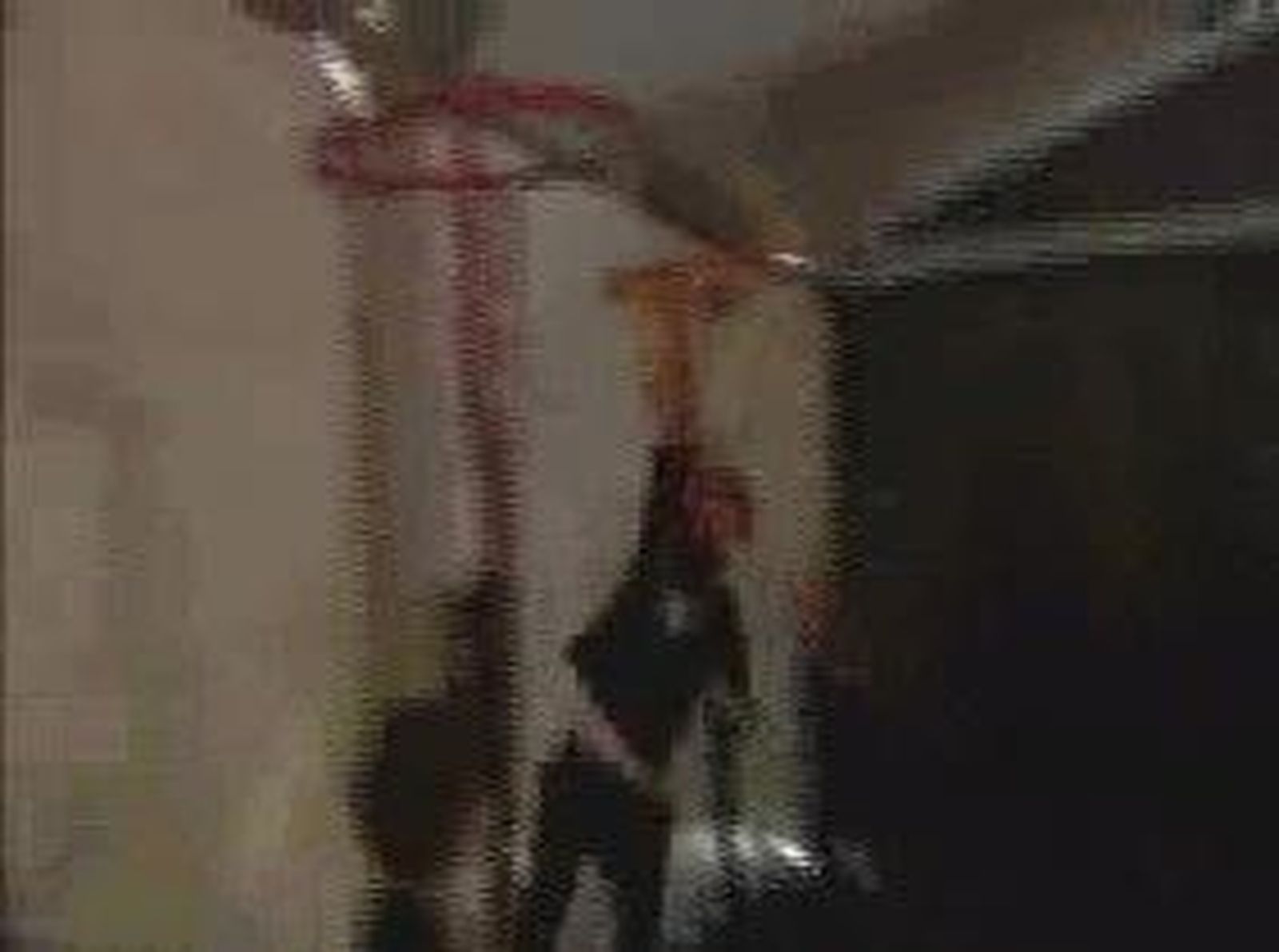 ambientepreviocopa