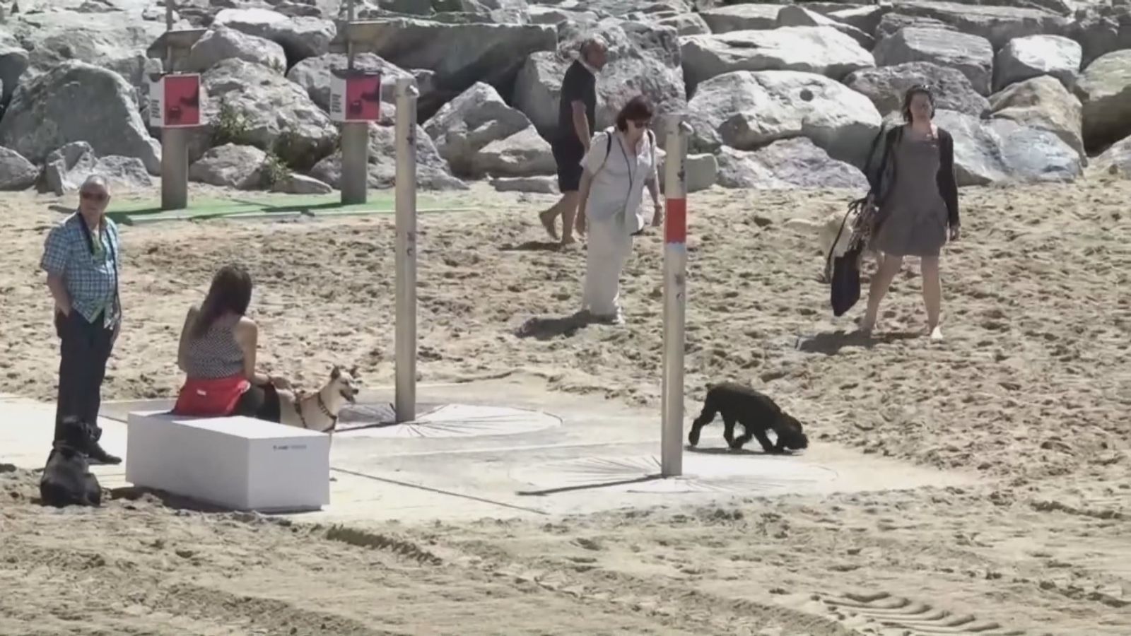 Playas para perros