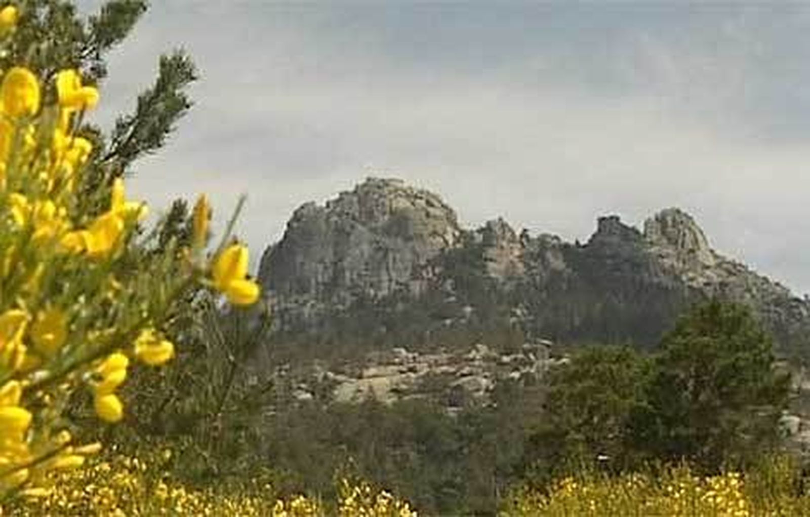 GUADARRAMA470J.jpg