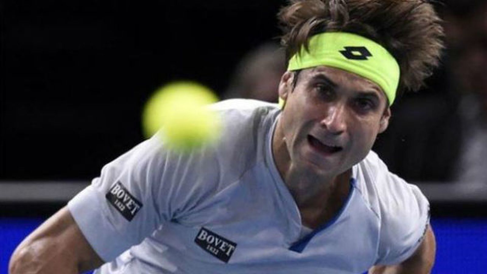David Ferrer
