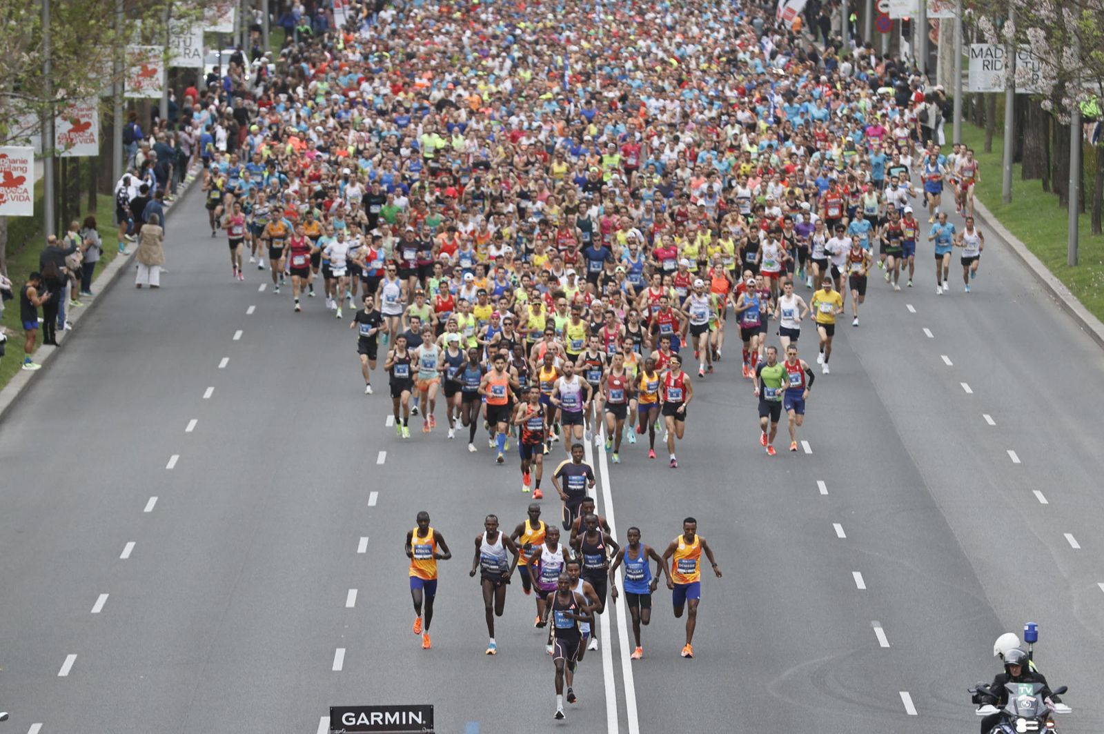 Las mejores imágenes de la Media Maratón de Madrid