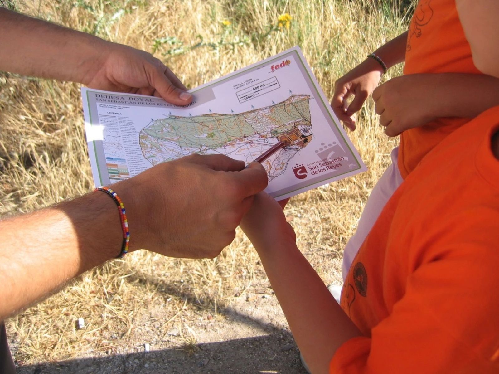 Actividad de orientación