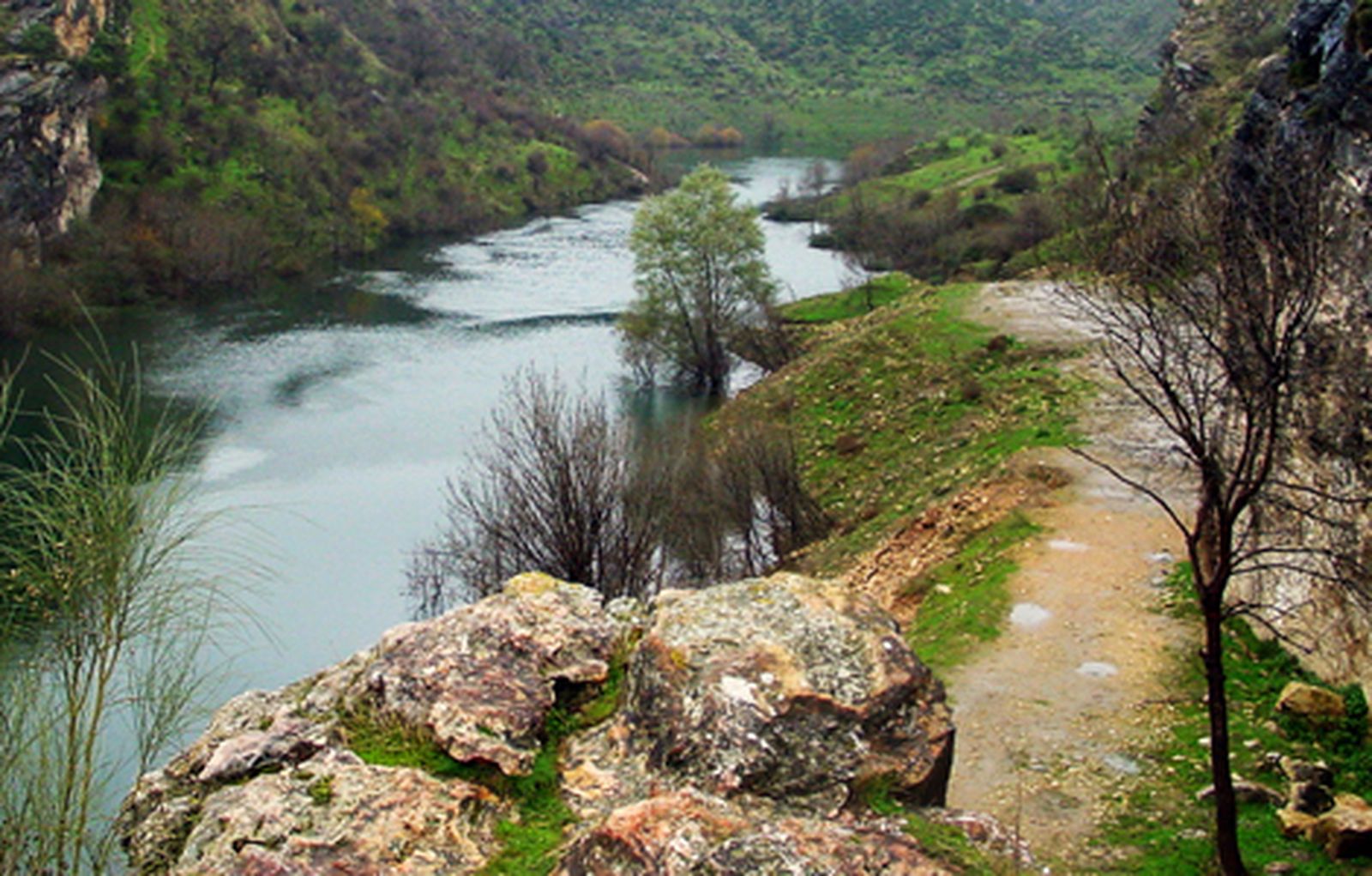 riolozoya_470