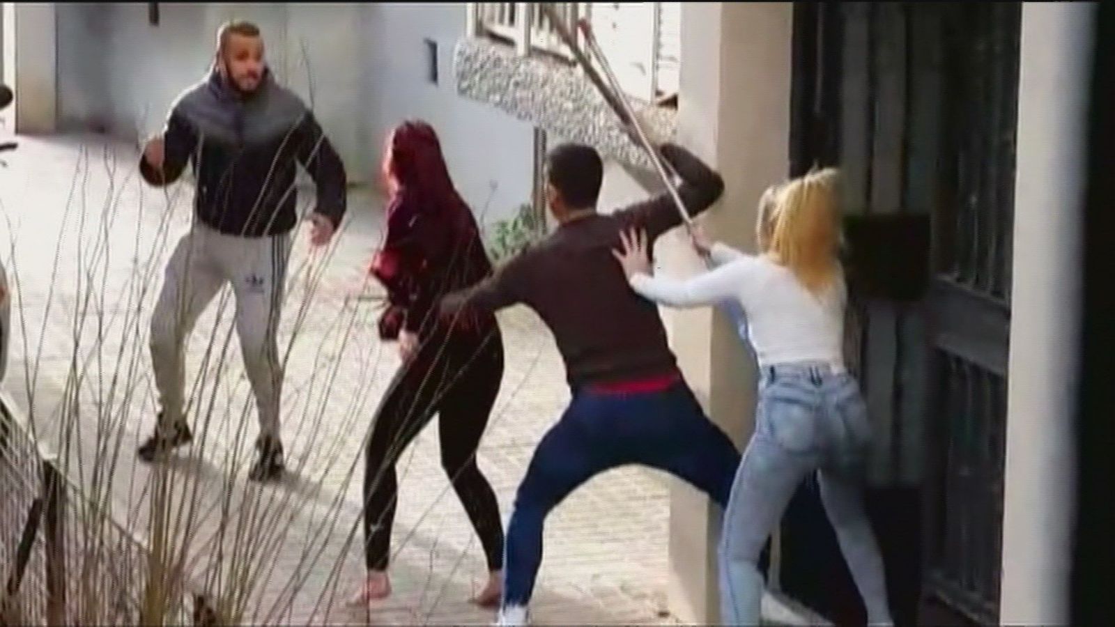 Detenido en Sevilla un okupa que acumulaba perros de raza peligrosa en un trastero