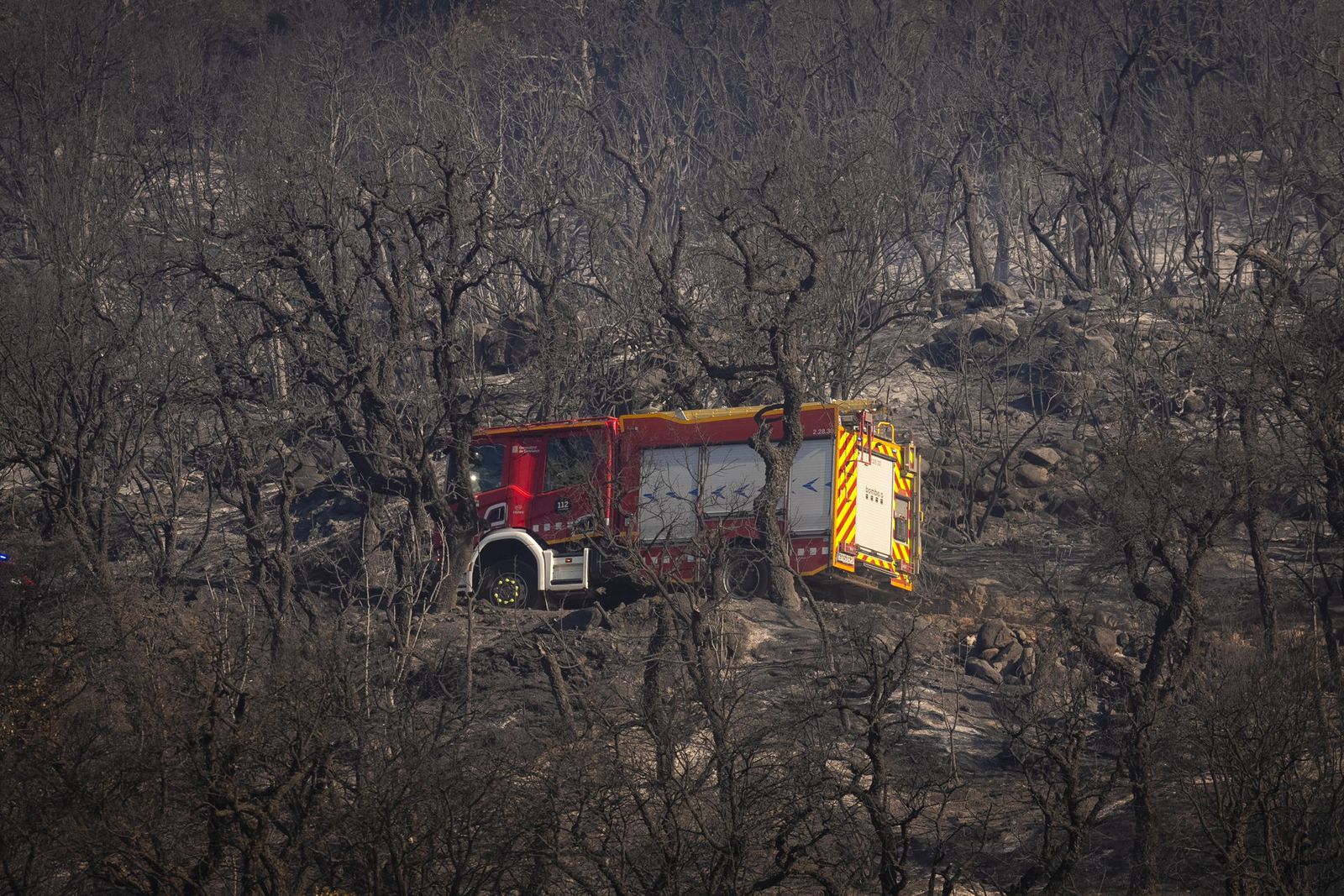 Un camión de bomberos cruza una zona arrasada por las llamas del incendio forestal en La Bisbal de l'Empordà (Girona)
