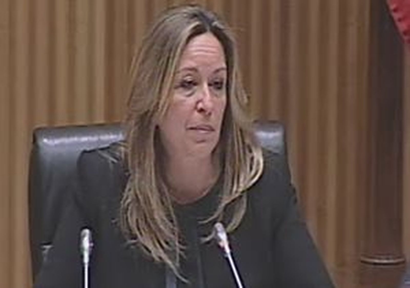 1811-TRINI-congreso.wmv