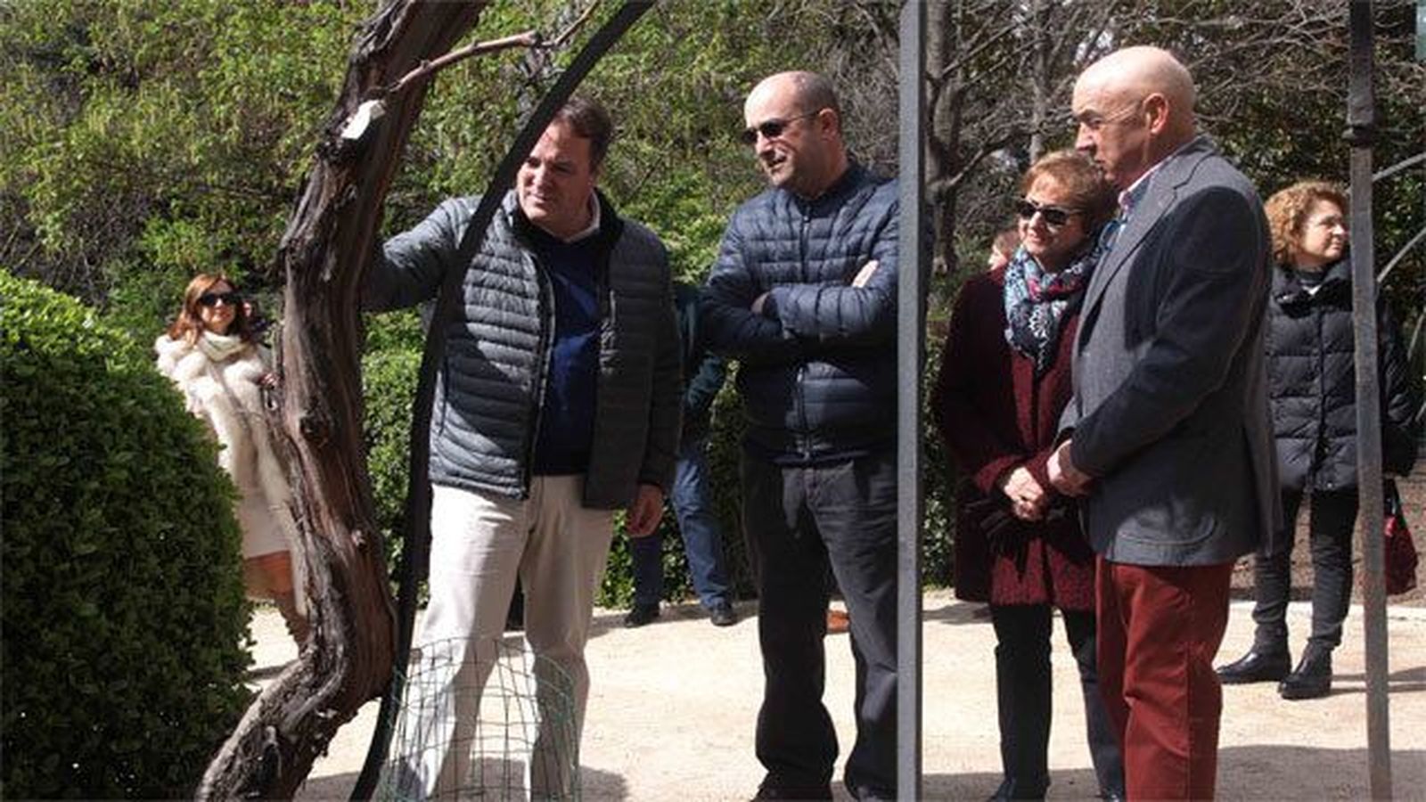 La Comunidad de Madrid dona 234 variedades de vides al Real Jardín Botánico