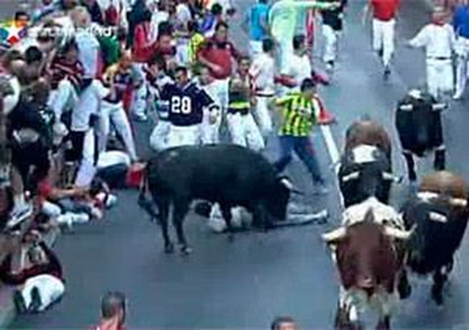 Dos heridos por asta de toro en el tercer encierro de San Sebastián de los Reyes