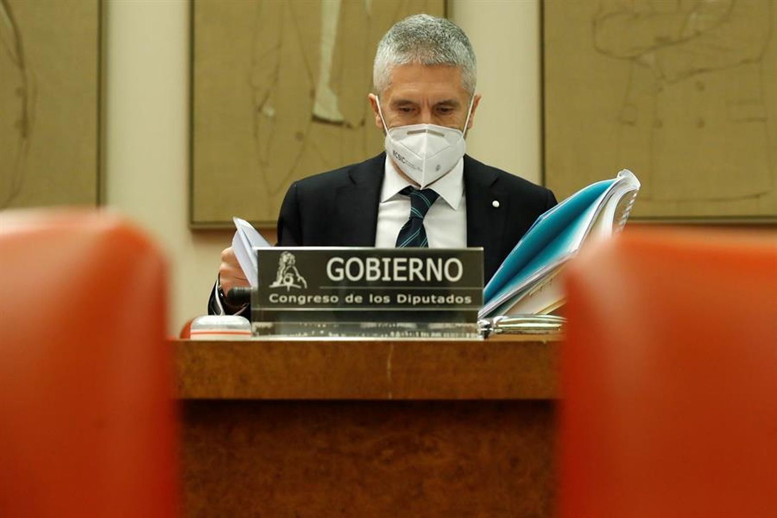 Fernando Grande Marlaska, ministro de Interior