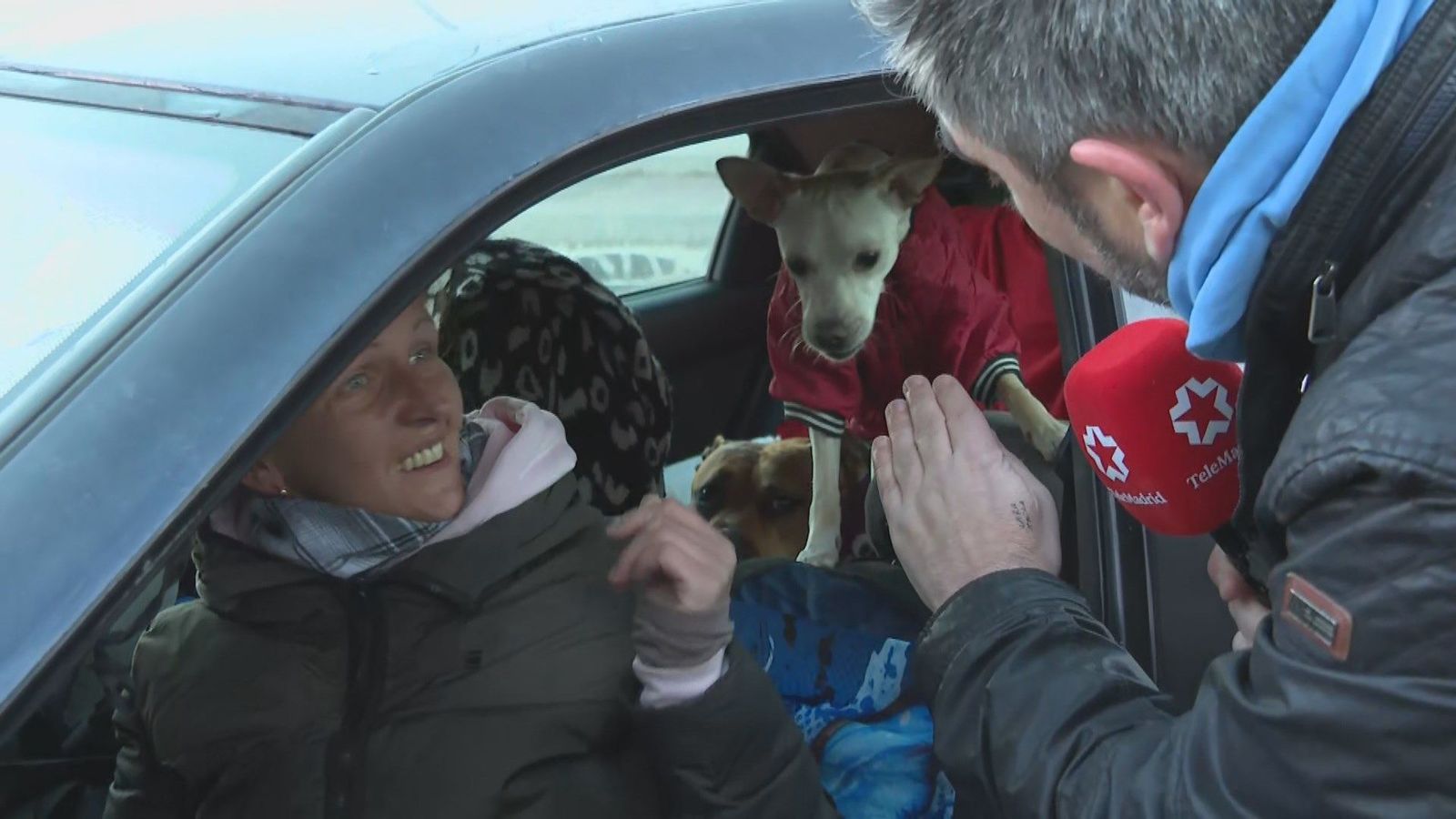 Sin trabajo, sin vivienda... Alina vive en el coche con sus dos perras: "Primero son ellas y luego yo"