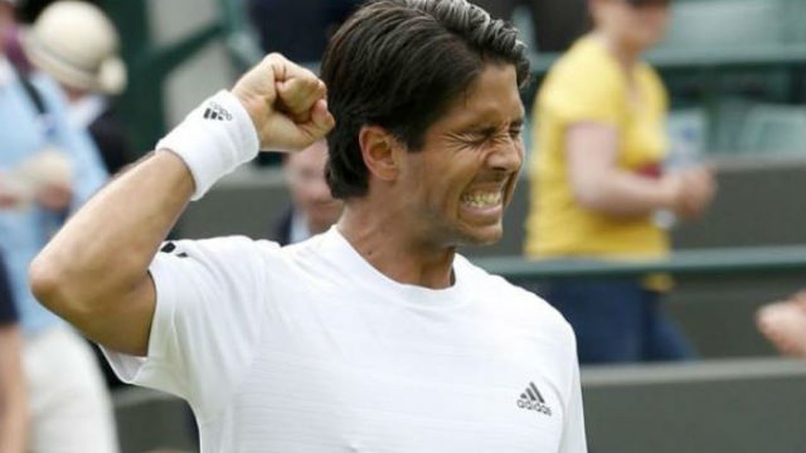Fernando Verdasco