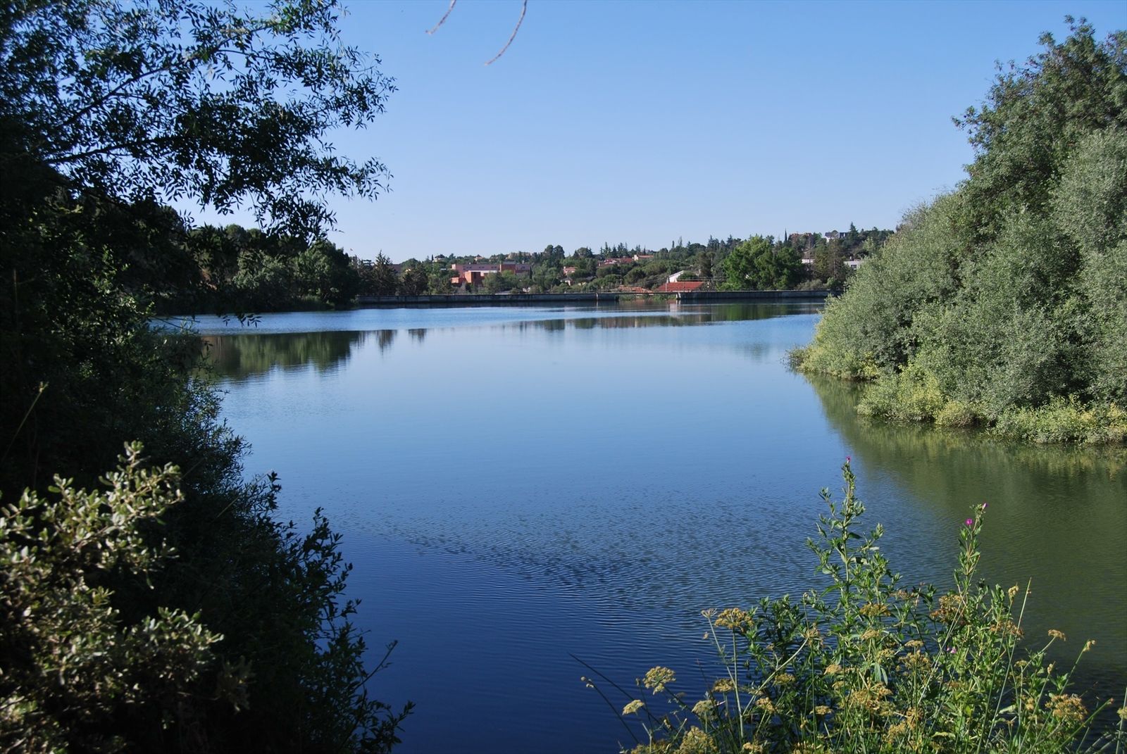 Embalse de Peñascales, en Torrelodones
