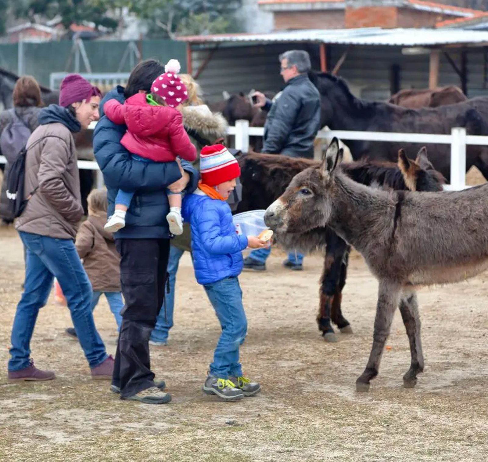 Niños dando de comer a burros en Burrolandia