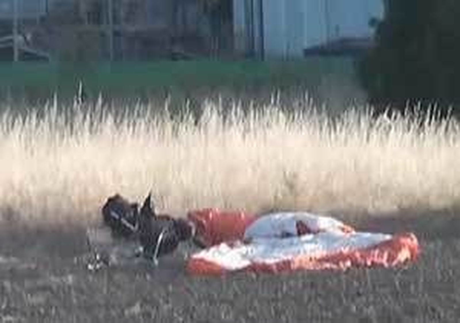 Muere un hombre en un accidente de paramotor en El Molar