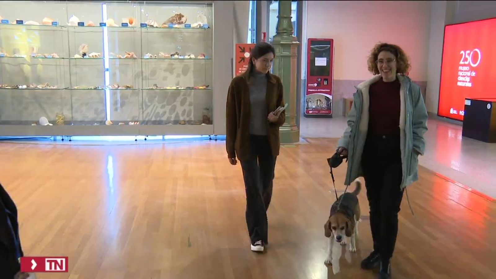 Museos con perros