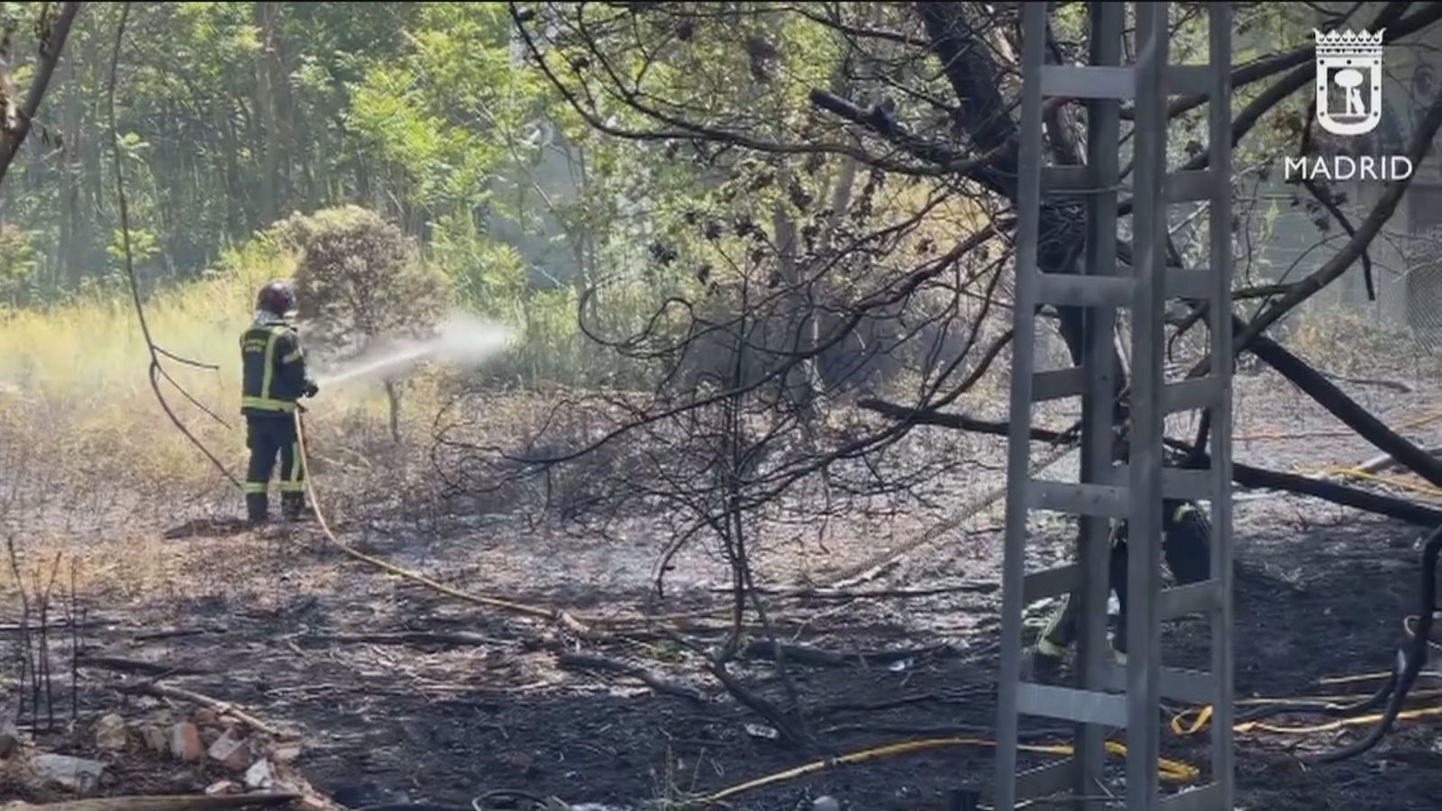 Incendio de pastos complicado por la pelusa del chopo en las proximidades de Puerta de Hierro