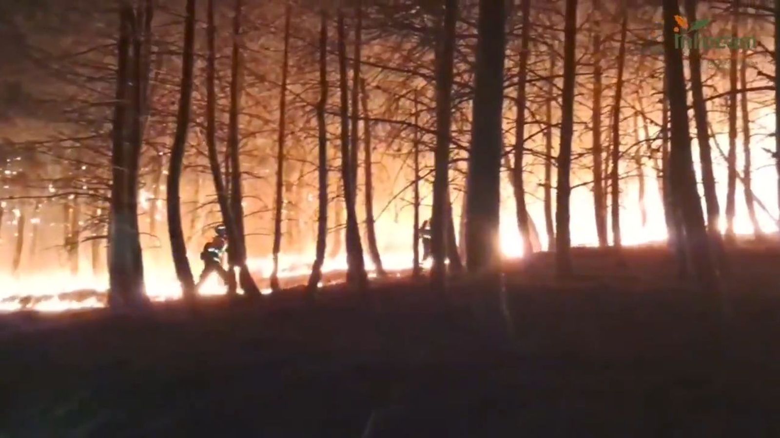 Siguen las labores de extinción en el incendio de Guadalajara, que no está controlado