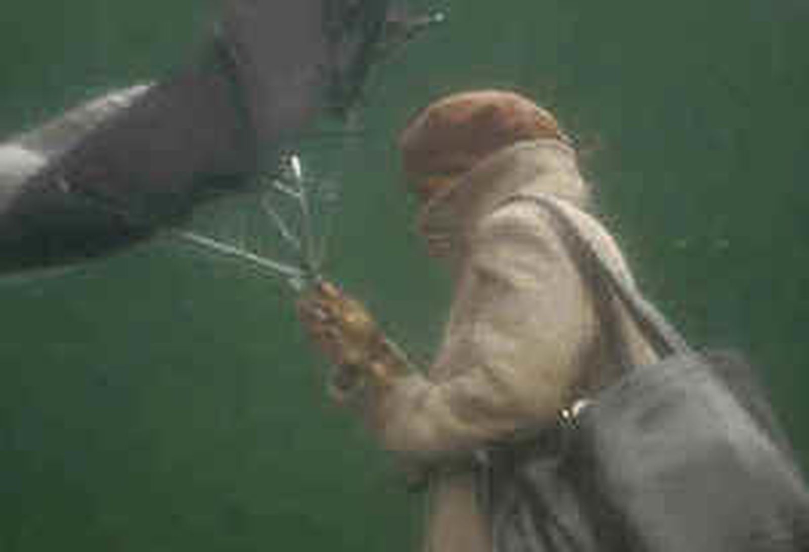 Viento y lluvia