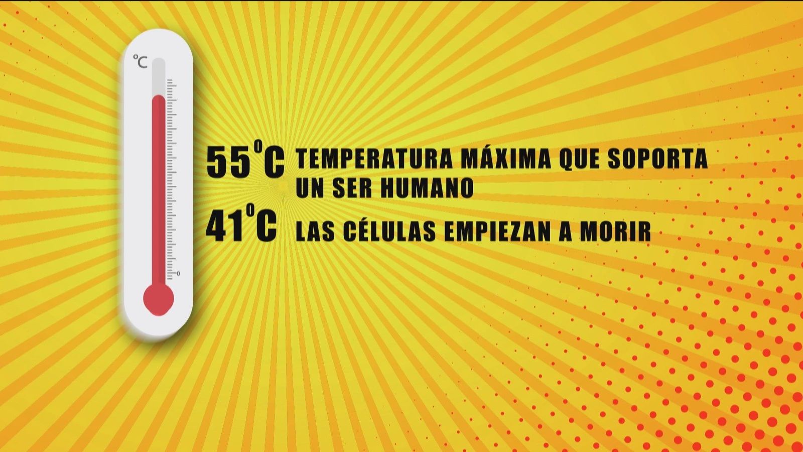 ¿Cuál es el límite de temperatura que puede soportar el cuerpo humano?