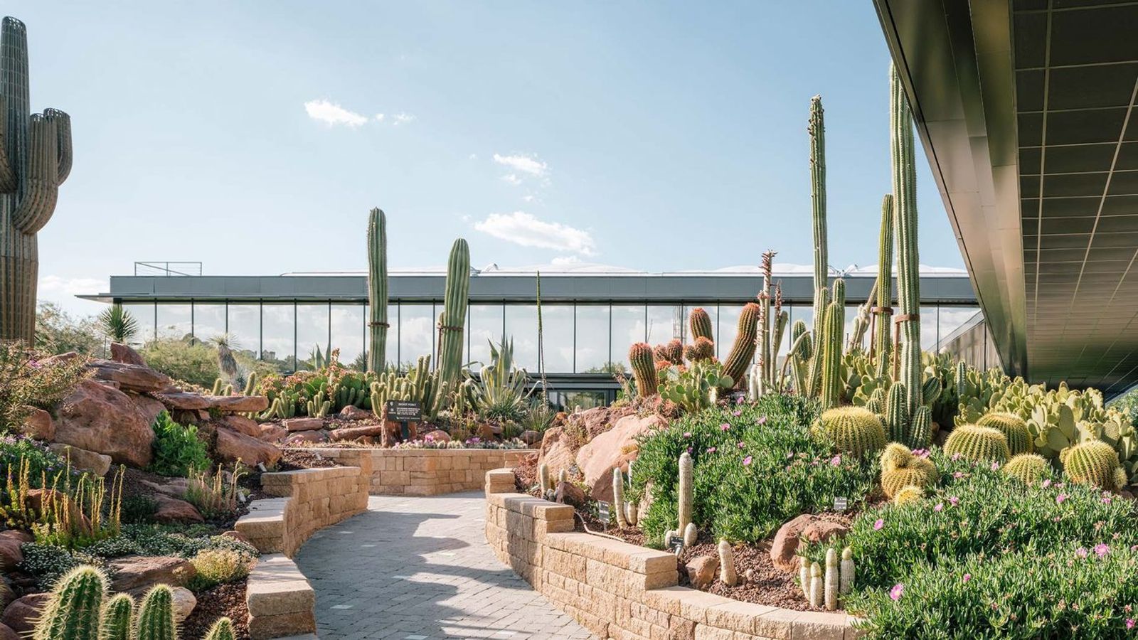 Desert City, una ciudad de cactus en Madrid