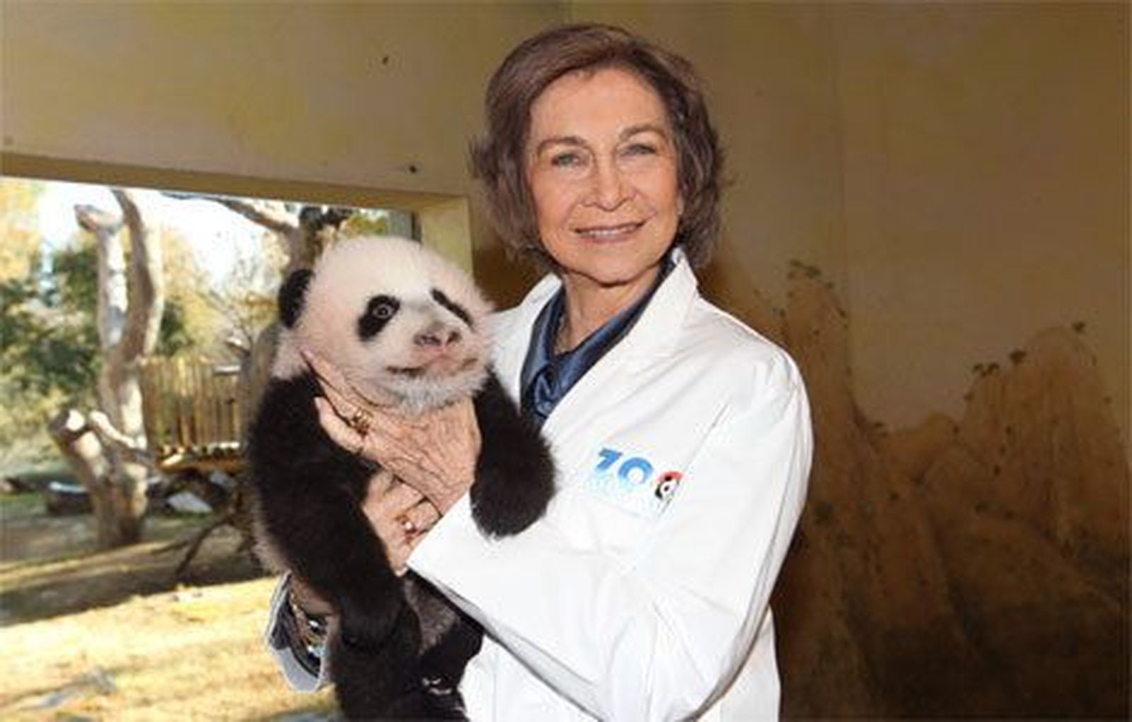 La Reina visita a la cría de  oso panda del Zoo Aquarium de Madrid