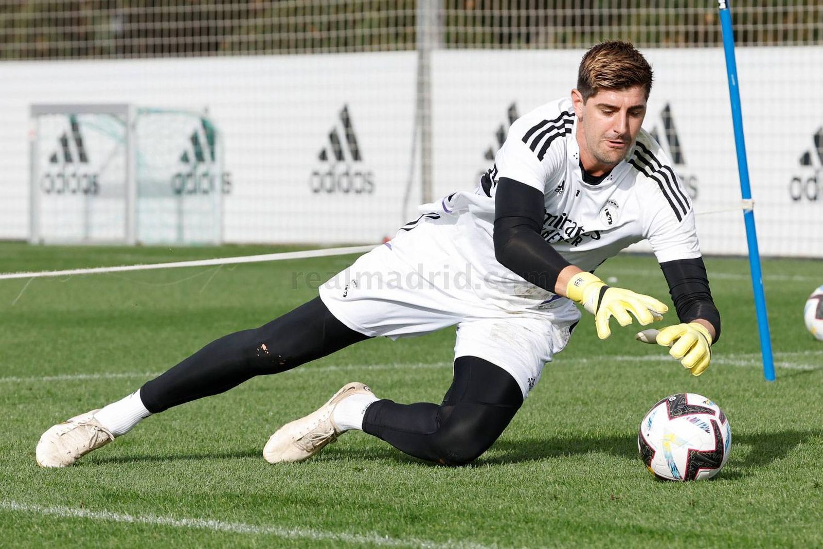 Courtois