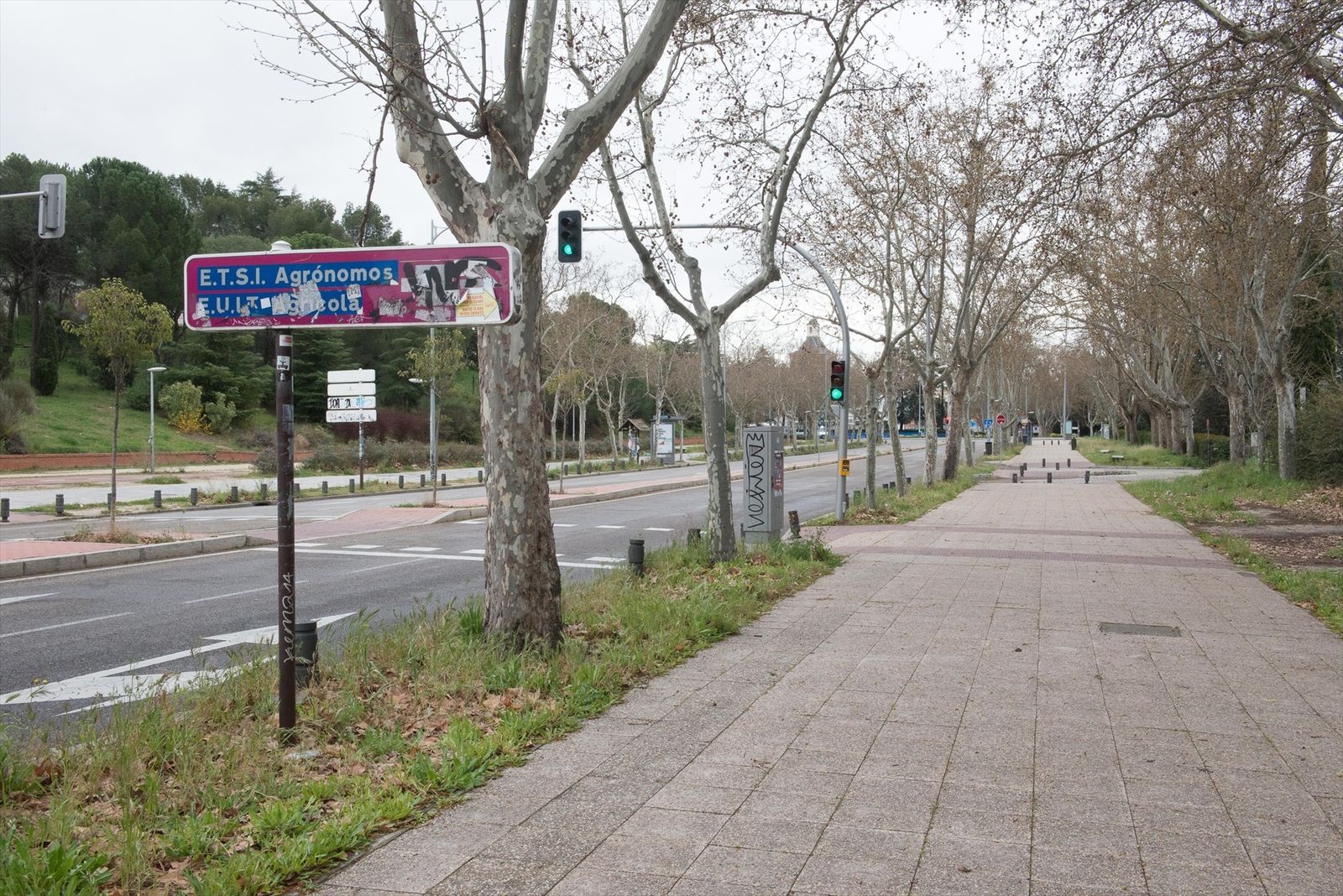 Avenida Complutense, en la Ciudad Universitaria de Madrid