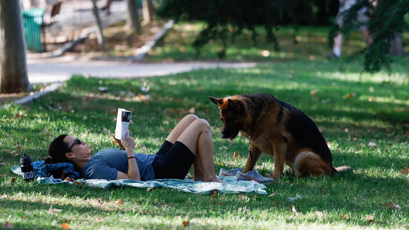 Una persona leyendo en el parque de El Retiro de Madrid