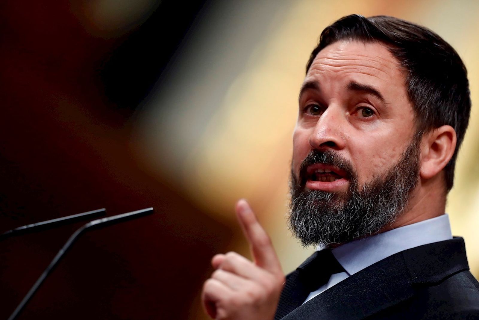 Santiago Abascal, durante su intervención en el Congreso de los Diputados