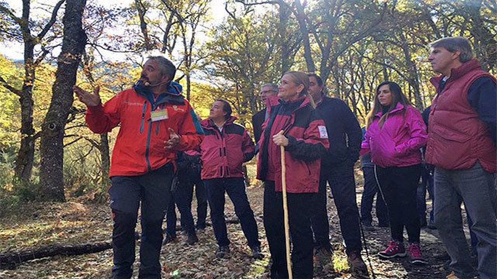 La Comunidad quiere que el Hayedo de Montejo sea declarado Patrimonio Natural de la Humanidad